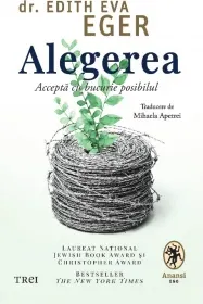 Coperta cărții Alegerea. Accepta cu bucurie posibilul