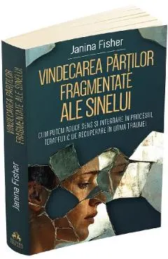 Coperta cărții Vindecarea partilor fragmentate ale sinelui