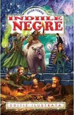 Coperta cărții Indiile Negre