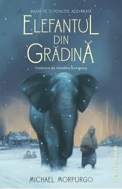 Coperta cărții Elefantul din gradina