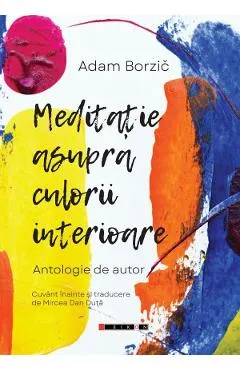 Coperta cărții Meditatie asupra culorii interioare