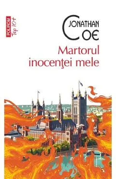 Coperta cărții Martorul inocentei mele