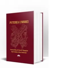 Coperta cărții Puterea umbrei. Istorii din lumea informatiilor secrete de la Ceausescu la Basescu - General brg. (r) Aurel I. Rogojan fata in fata cu Dan Andronic