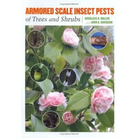 Coperta cărții Armored Scale Insect Pests of Trees and Shrubs