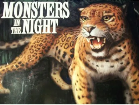 Coperta cărții Monsters in the Night