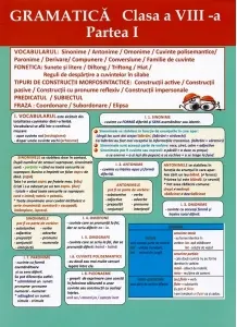 Coperta cărții Plansa. Gramatica - Clasa a VIII-a, partea I