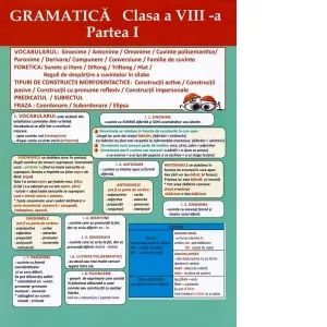 Coperta cărții Plansa. Gramatica - Clasa a VIII-a, partea I