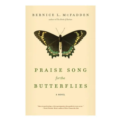 Coperta cărții Praise song for the butterflies