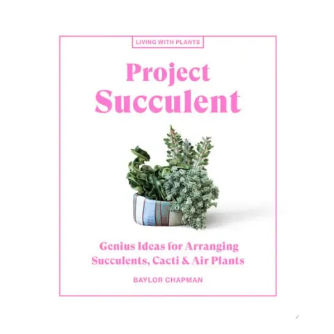 Coperta cărții Project succulent : genius ideas for arranging succulents, cacti & air plants