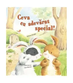Coperta cărții Ceva cu adevărat special