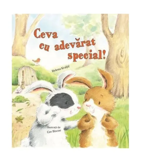 Coperta cărții Ceva cu adevărat special