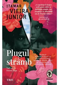 Coperta cărții Plugul stramb