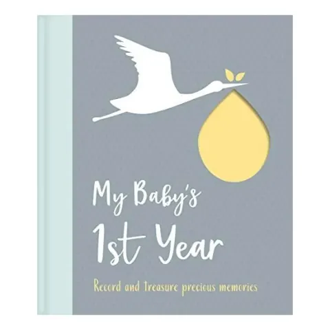 Coperta cărții My baby's 1st year.