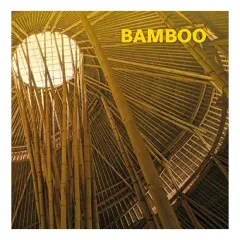 Coperta cărții Bamboo