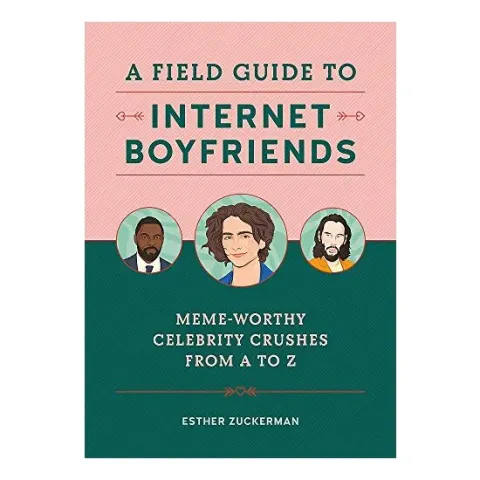 Coperta cărții Field Guide to Internet Boyfriends