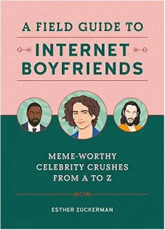 Coperta cărții Field Guide to Internet Boyfriends