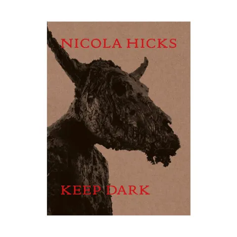 Coperta cărții Nicola Hicks: keep dark