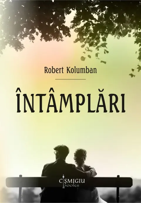 Coperta cărții Intamplari