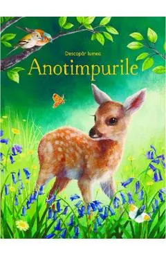 Coperta cărții Descopar lumea: Anotimpurile