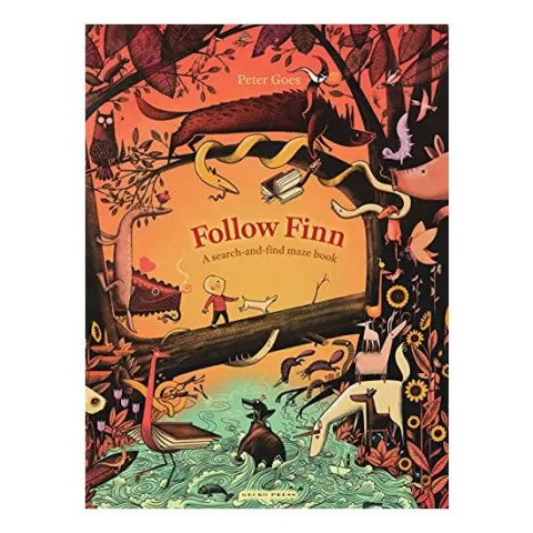 Coperta cărții Follow Finn