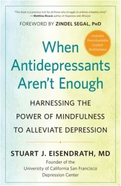 Coperta cărții When Antidepressants Aren'T Enough: Harnessing The(...)