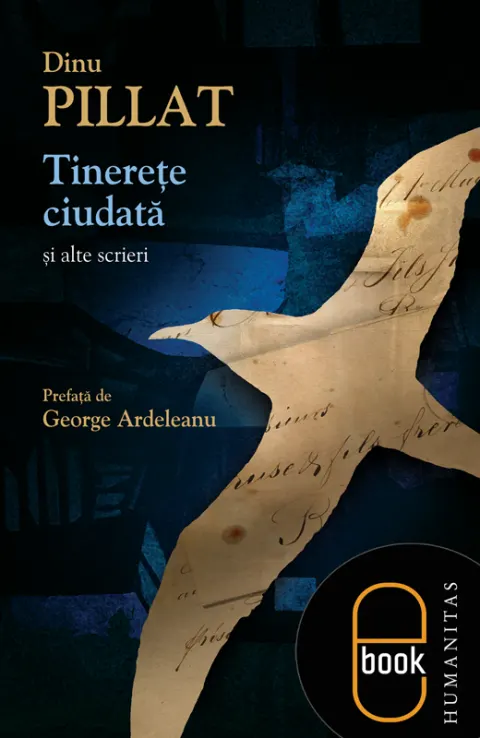 Coperta cărții Tinerețe ciudată și alte scrieri (pdf)