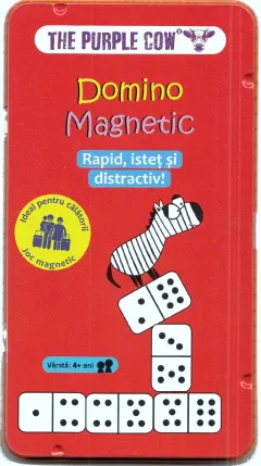 Coperta cărții Domino Magnetic