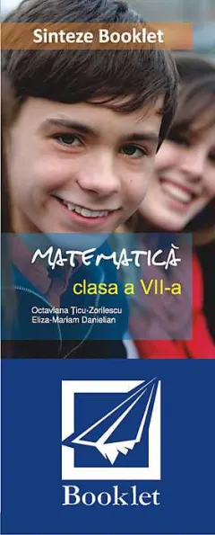 Coperta cărții Sinteze de matematica pentru clasa a VII-a