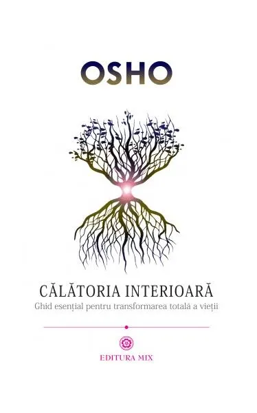 Coperta cărții Călătoria interioară