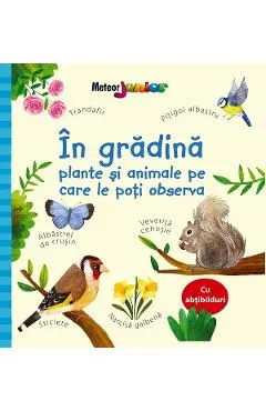 Coperta cărții In gradina. Plante si animale pe care le poti observa