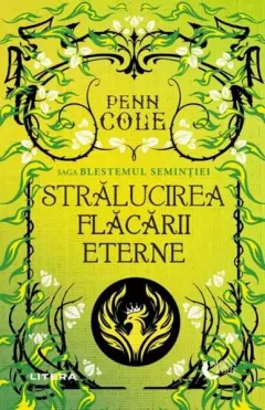 Coperta cărții Stralucirea flacarii eterne