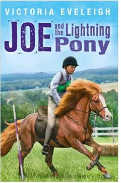 Coperta cărții Joe And The Lightning Pony A Boy And His Horses