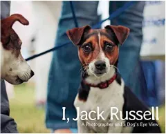 Coperta cărții I, Jack Russell