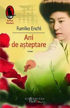 Coperta cărții Ani de așteptare