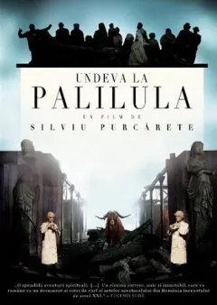 Coperta cărții Undeva la Palilula