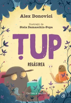 Coperta cărții Tup. Regasirea