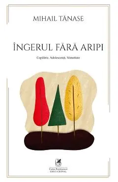Coperta cărții Ingerul fara aripi
