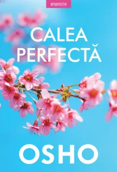 Coperta cărții Calea perfectă