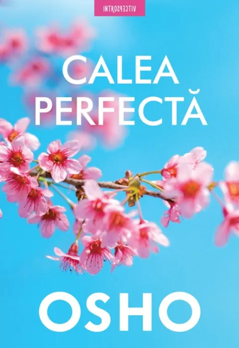 Coperta cărții Calea perfectă