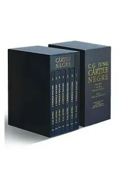 Coperta cărții Cartile Negre ale lui Jung. Set de 7 Volume in Cutie Personalizata