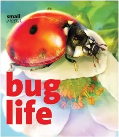 Coperta cărții Bug Life