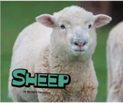 Coperta cărții Sheep