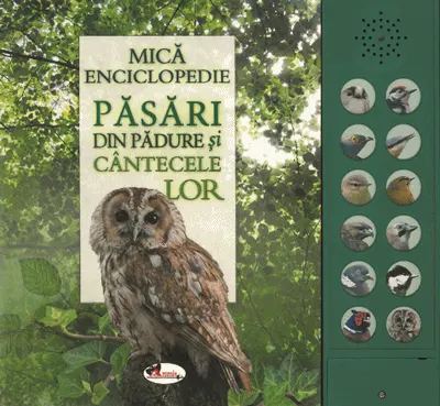 Coperta cărții Păsări din pădure și cântecele lor (carte cu sunete)