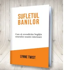 Coperta cărții Sufletul banilor. Cum sa revendicam bogatia resurselor noastre interioare