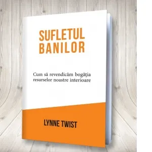 Coperta cărții Sufletul banilor. Cum sa revendicam bogatia resurselor noastre interioare