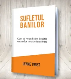 Coperta cărții Sufletul banilor. Cum sa revendicam bogatia resurselor noastre interioare