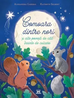 Coperta cărții Comoara dintre nori și alte povești de citit înainte de culcare