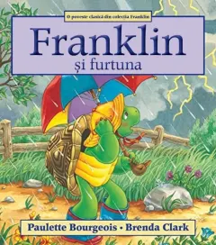 Coperta cărții Franklin și furtuna