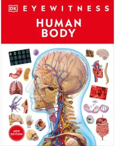 Coperta cărții DK Eyewitness - Human Body