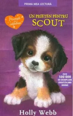 Coperta cărții Un prieten pentru Scout